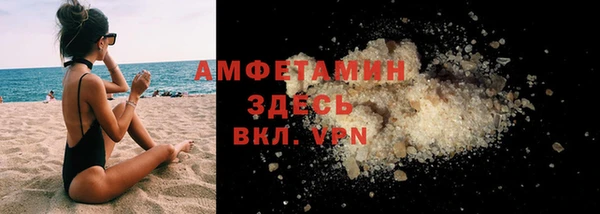 мдпв Бородино