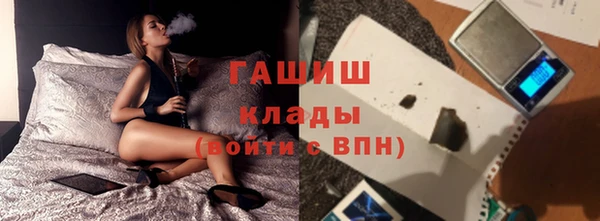 мдпв Бородино
