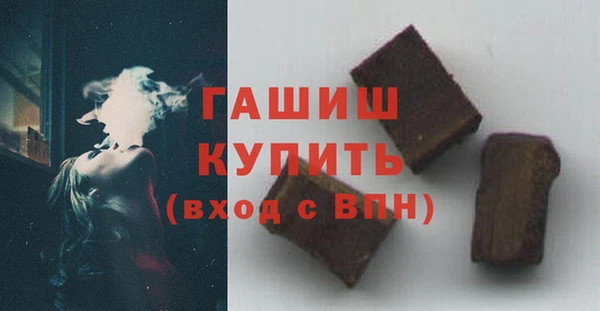 мдпв Бородино