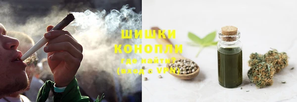 мдпв Бородино