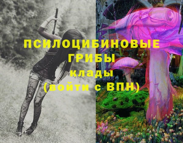 бошки Бронницы