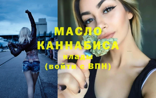 мдпв Бородино