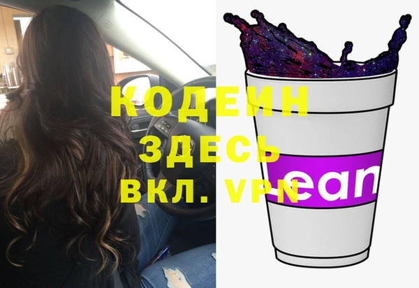 мдпв Бородино