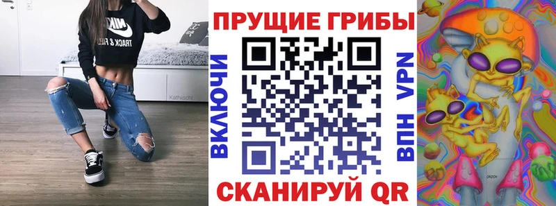 что такое наркотик  Гулькевичи  Галлюциногенные грибы Psilocybine cubensis 