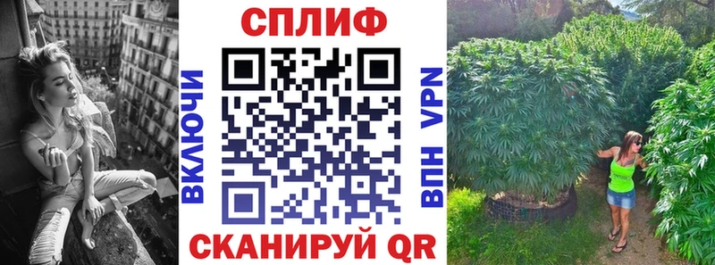 Бошки марихуана план  мориарти телеграм  Гулькевичи  цена  